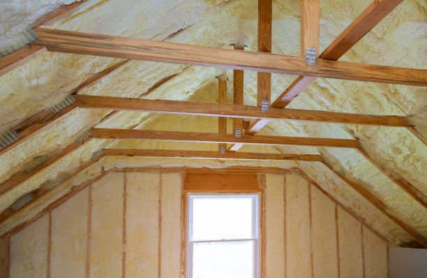 Best Cellulose Insulation in Kenai, AK