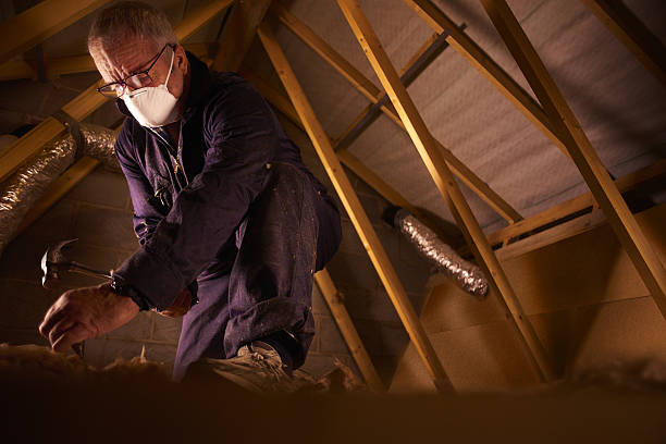 Best Spray Foam Insulation in Kenai, AK