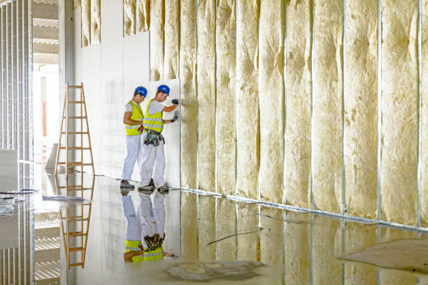 Best Blown-in Insulation in Kenai, AK